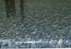 barc.jpg (10437 byte)