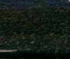 bbcry.jpg (5818 byte)