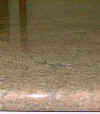 bgrani.jpg (7780 byte)